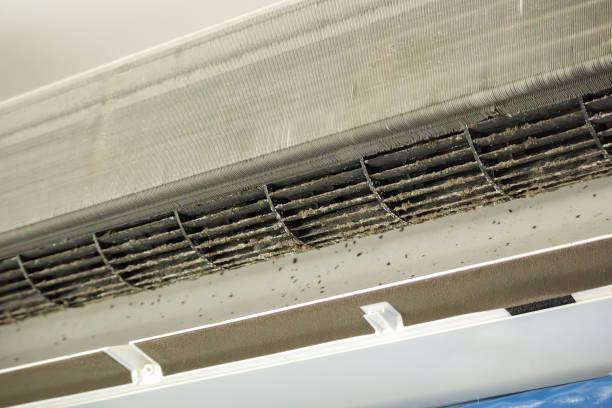 Best Duct Cleaning Specialists  in Mooreland, OK